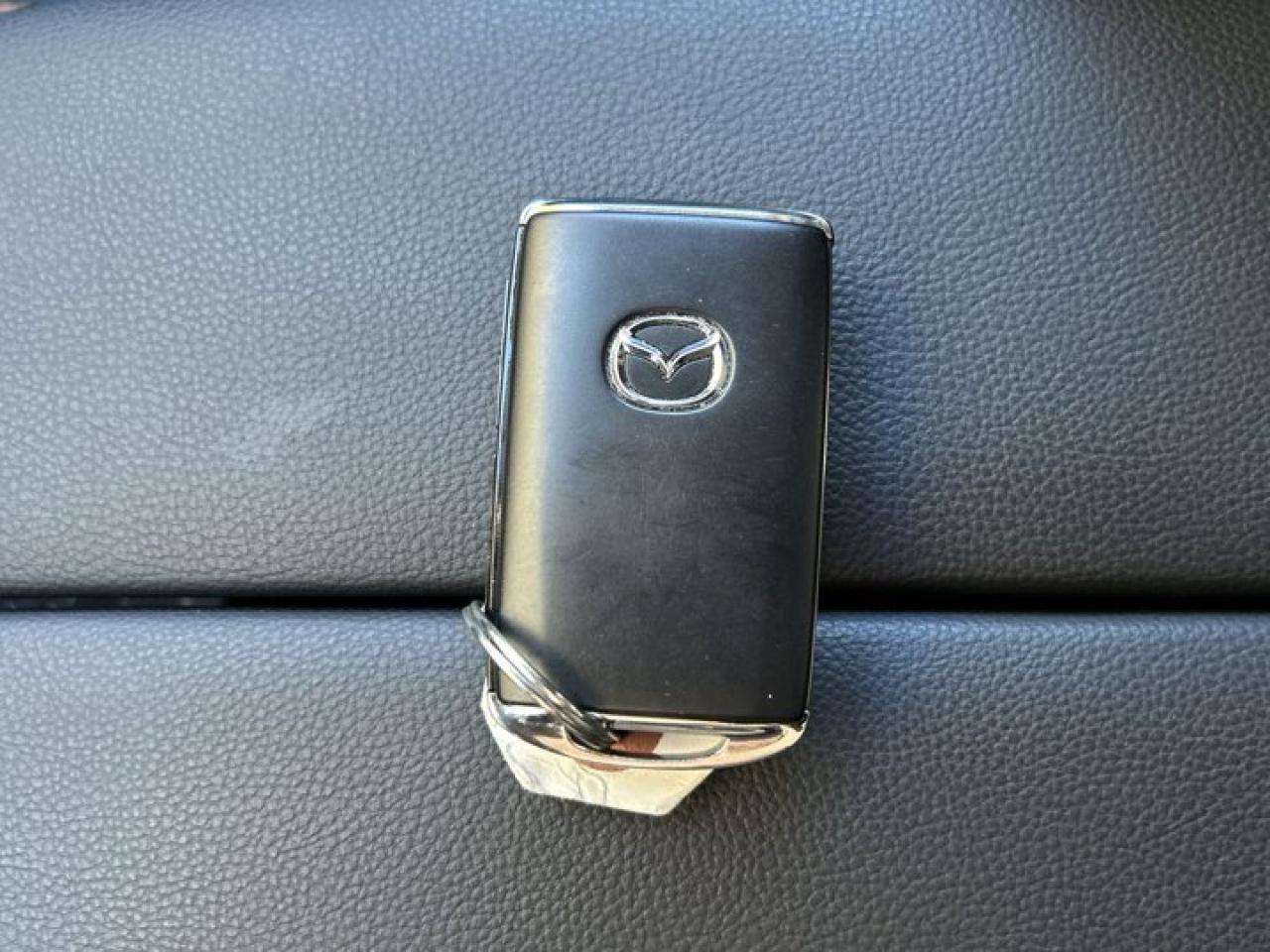 2024 Mazda CX-50 Premium AWD | Panoramic Roof | 360 Camera | Leather Seats Photo