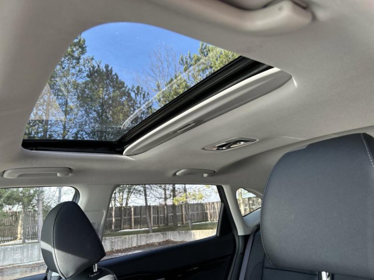 2024 Kia Seltos EX | Sunroof | Remote Start | Leather Seats | Heated Seats Photo