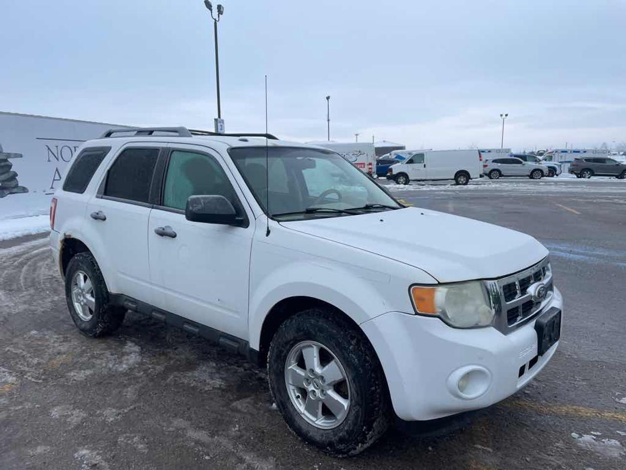 2011 Ford Escape XLT Photo
