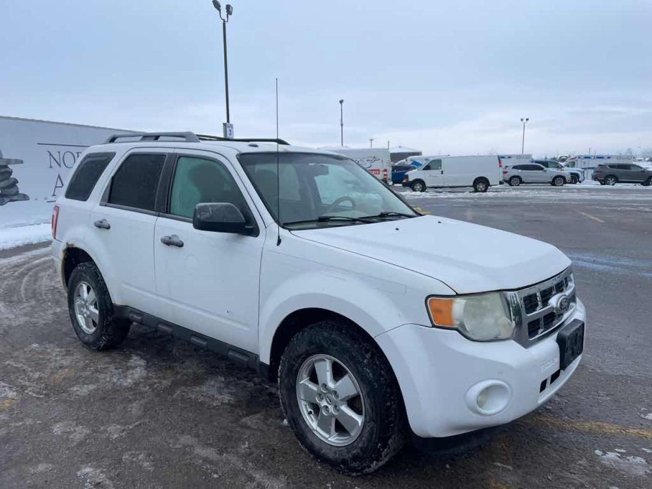 2011 Ford Escape XLT Photo2