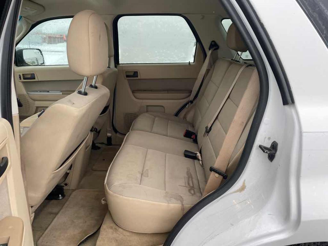 2011 Ford Escape XLT Photo