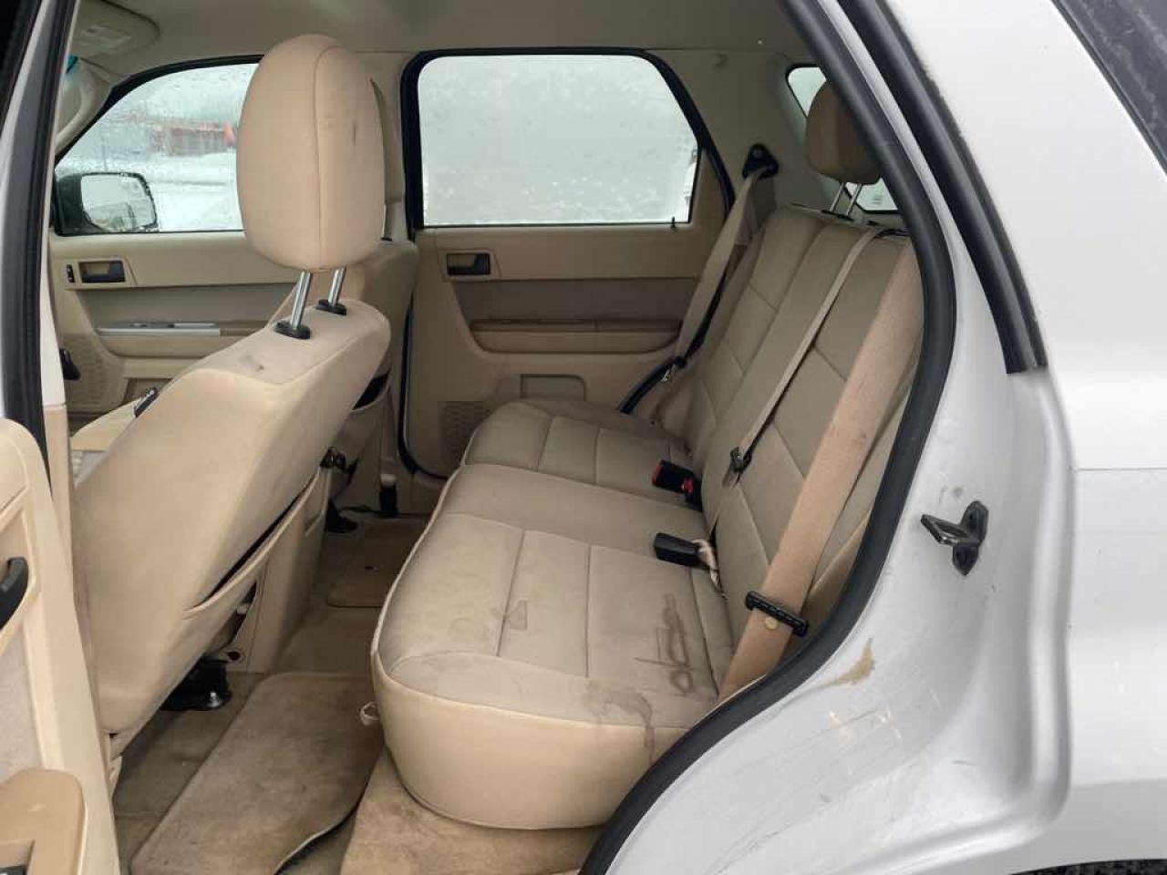 2011 Ford Escape XLT Photo