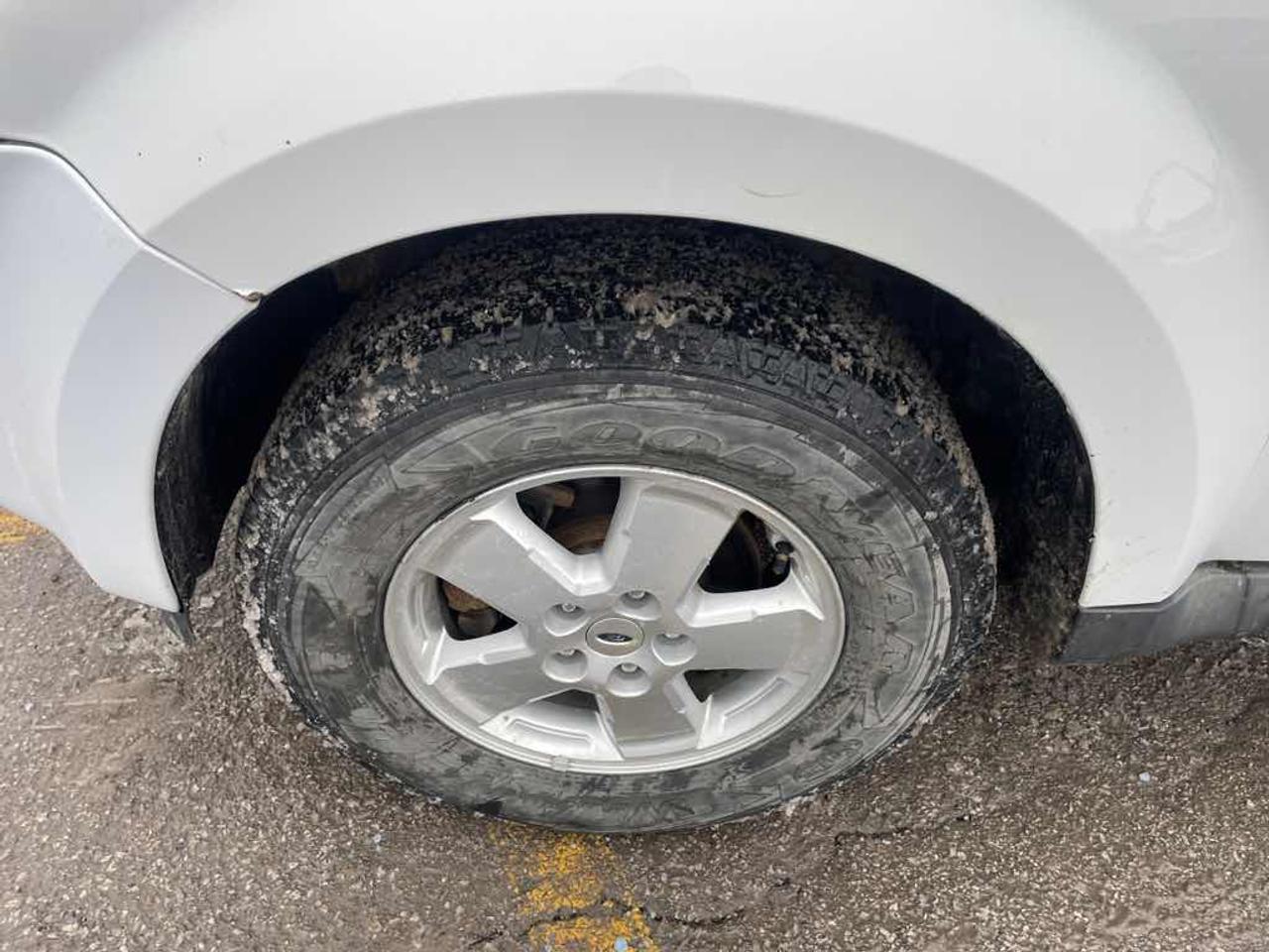 2011 Ford Escape XLT Photo