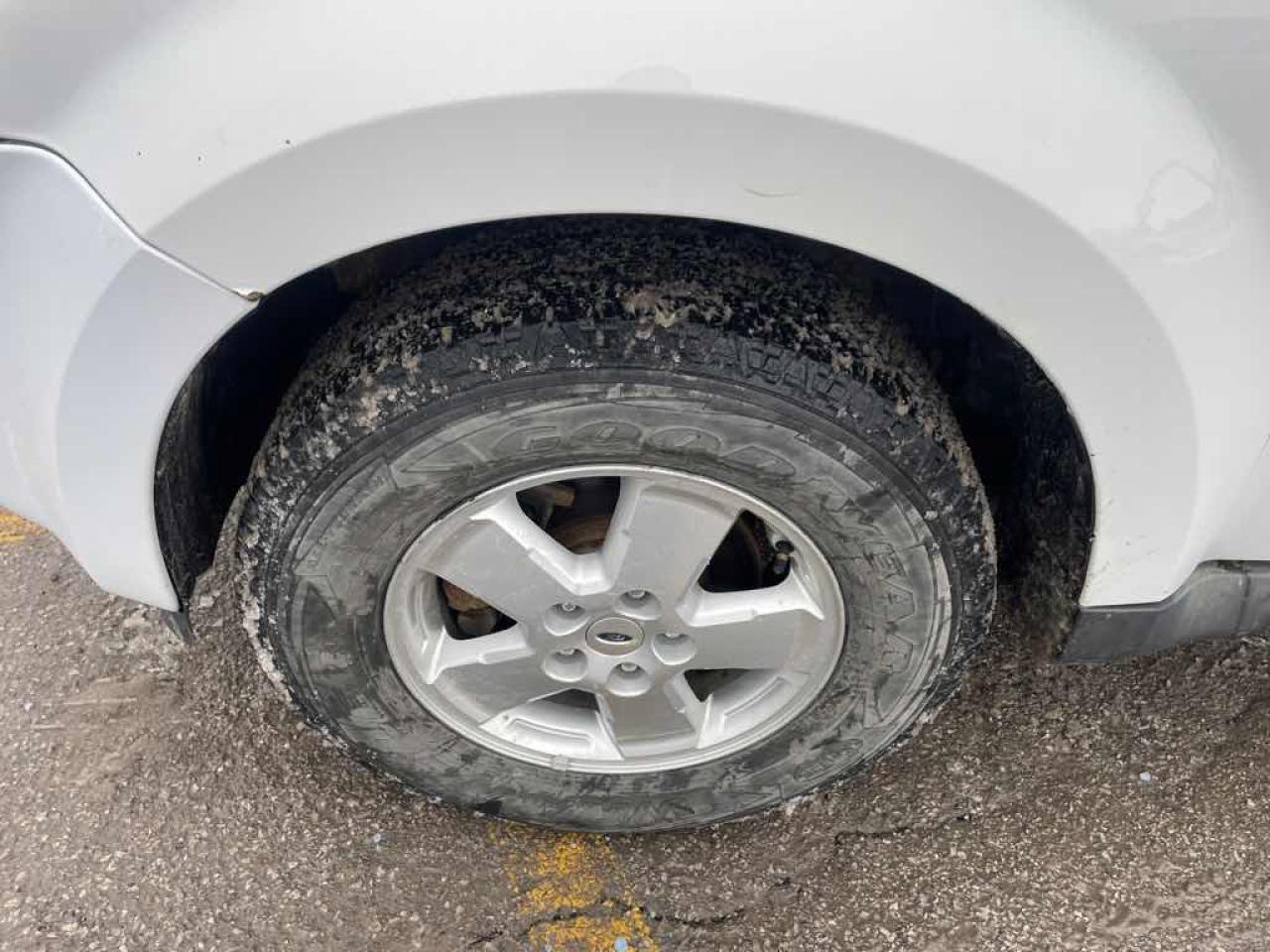 2011 Ford Escape XLT Photo