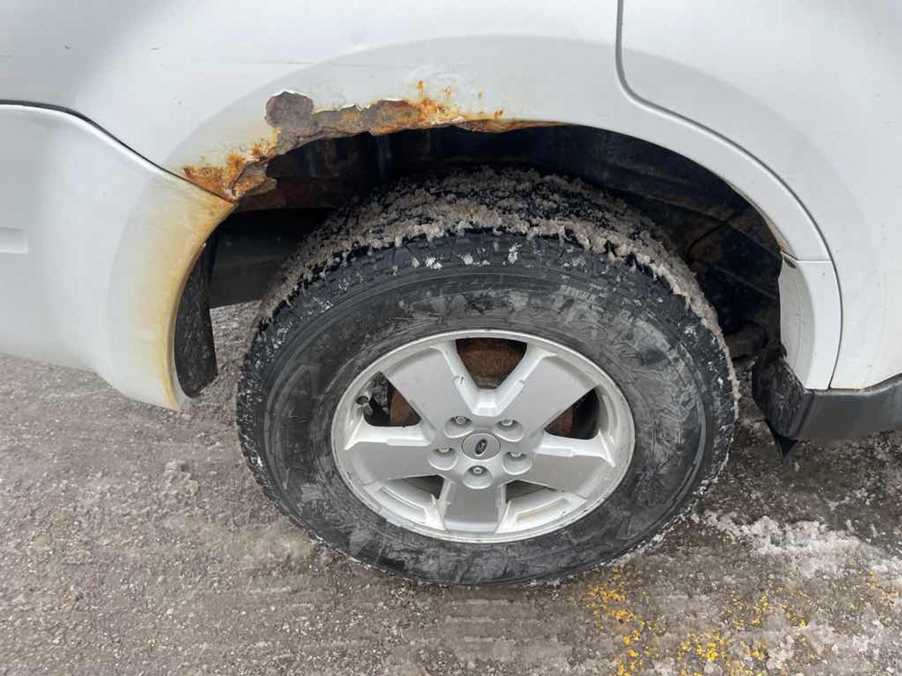 2011 Ford Escape XLT Photo