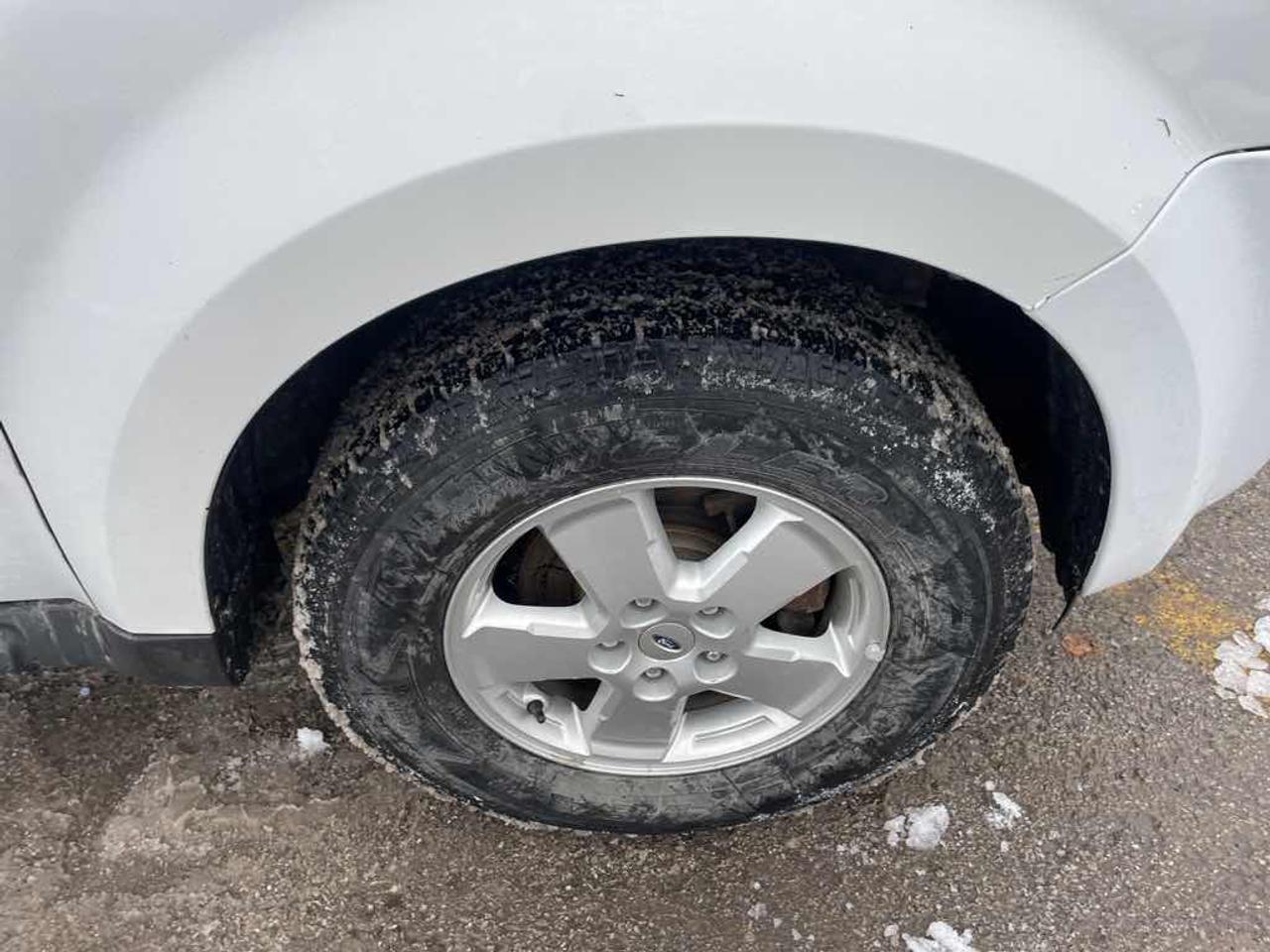 2011 Ford Escape XLT Photo