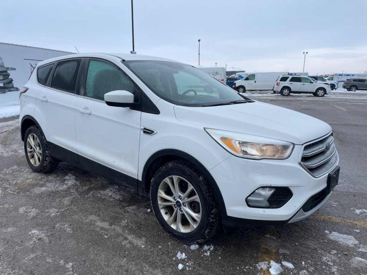 2017 Ford Escape SE Photo