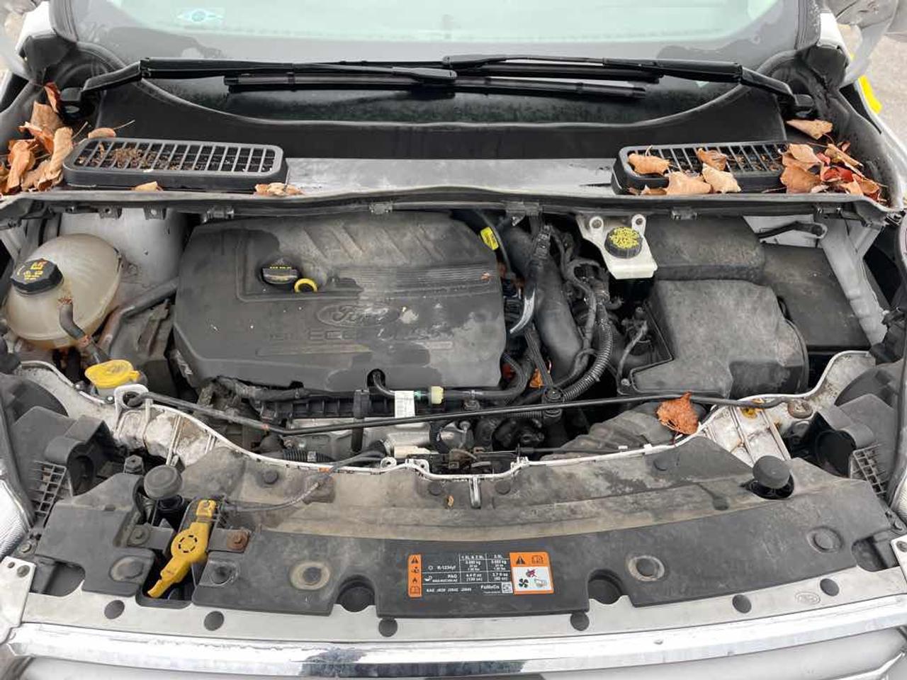 2017 Ford Escape SE Photo
