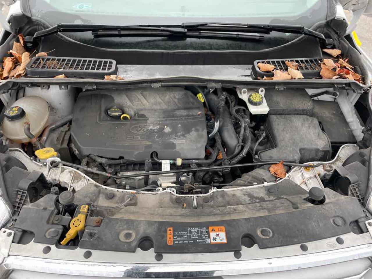 2017 Ford Escape SE Photo