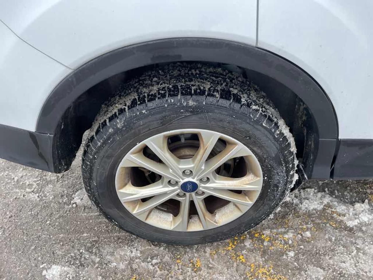 2017 Ford Escape SE Photo