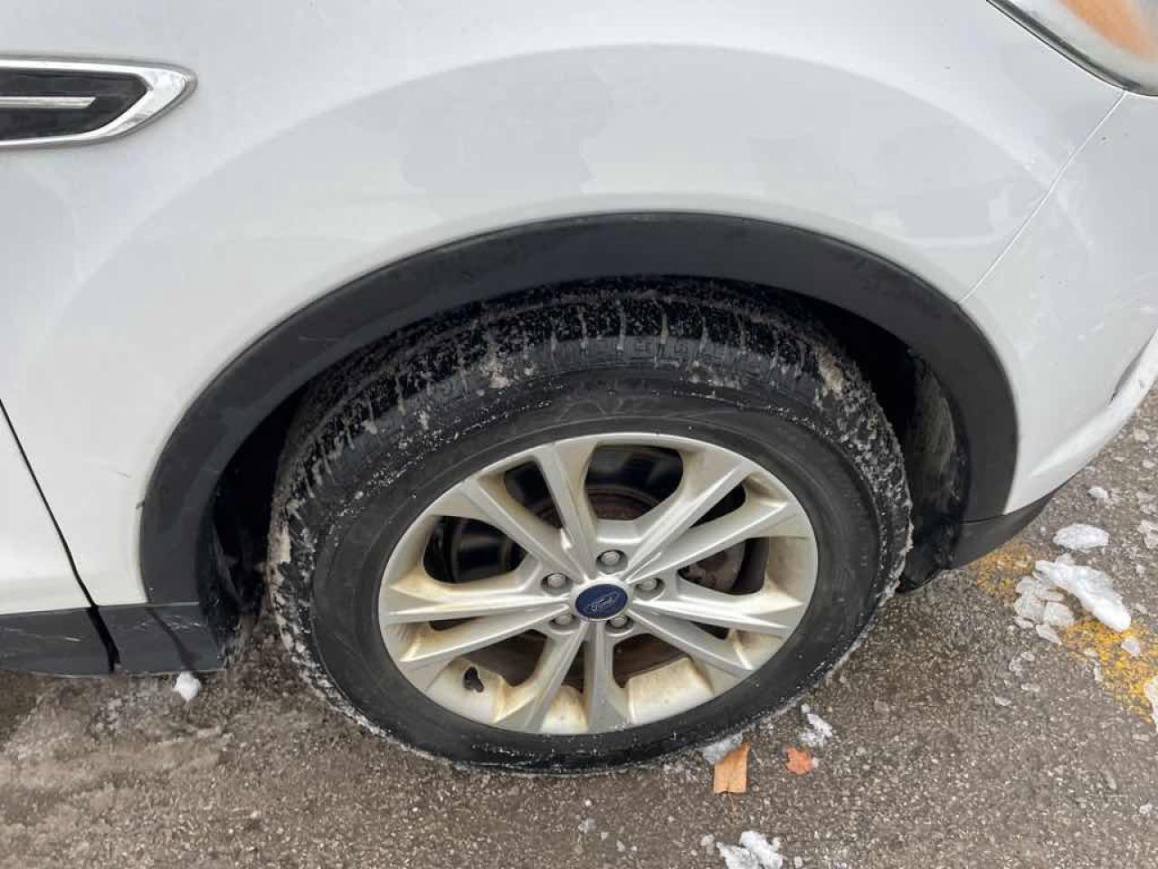 2017 Ford Escape SE Photo