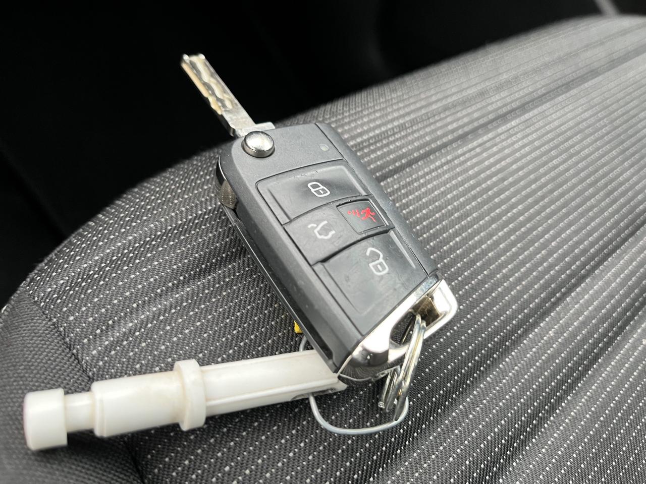 2024 Volkswagen Tiguan Trendline 4Motion Photo