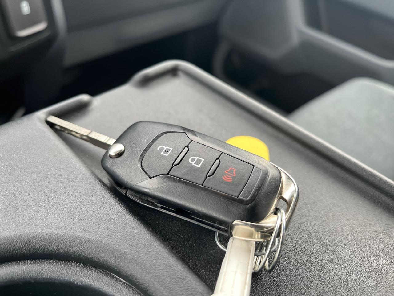 2024 Ford F-150 XLT 4WD SuperCrew 5.5' Box Photo