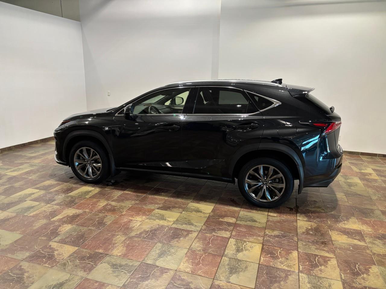 2021 Lexus NX 300  Photo