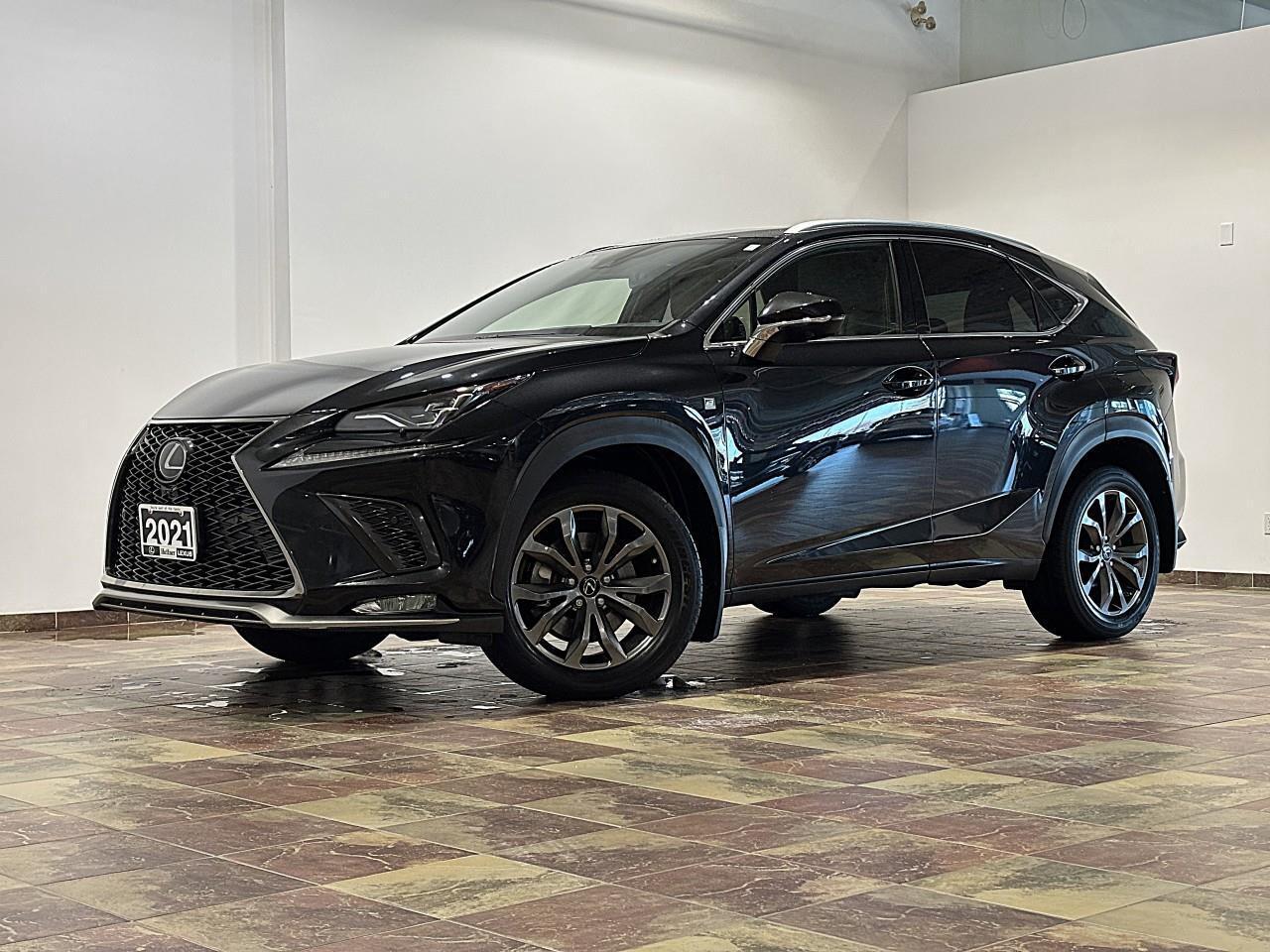 2021 Lexus NX 300  Photo