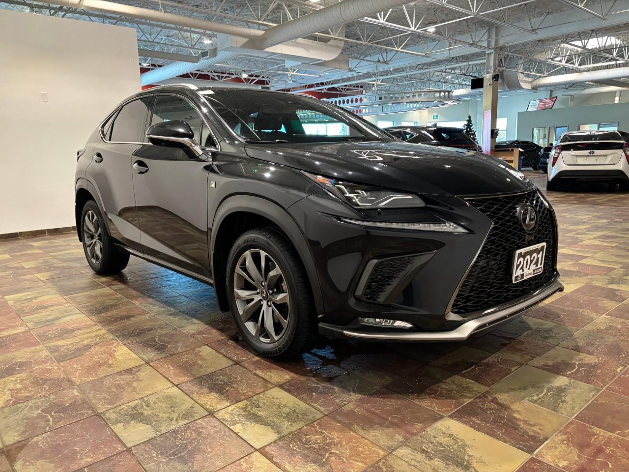 2021 Lexus NX 300  Photo
