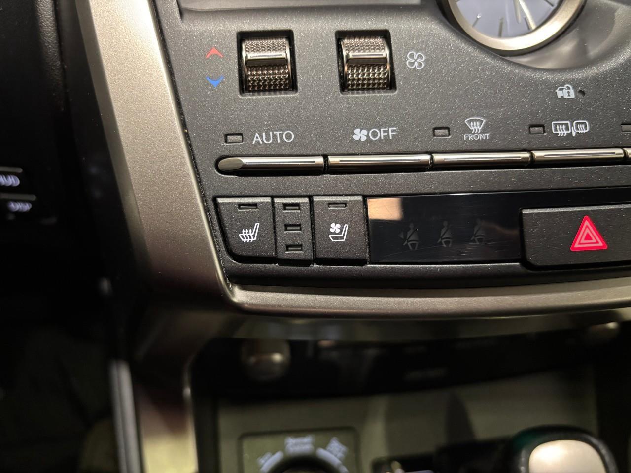 2021 Lexus NX 300  Photo