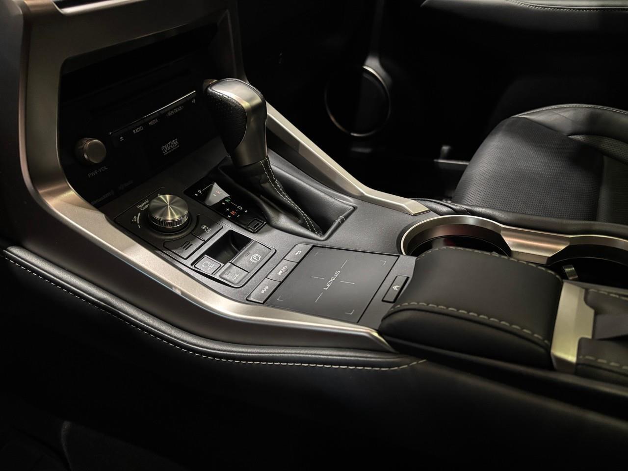 2021 Lexus NX 300  Photo