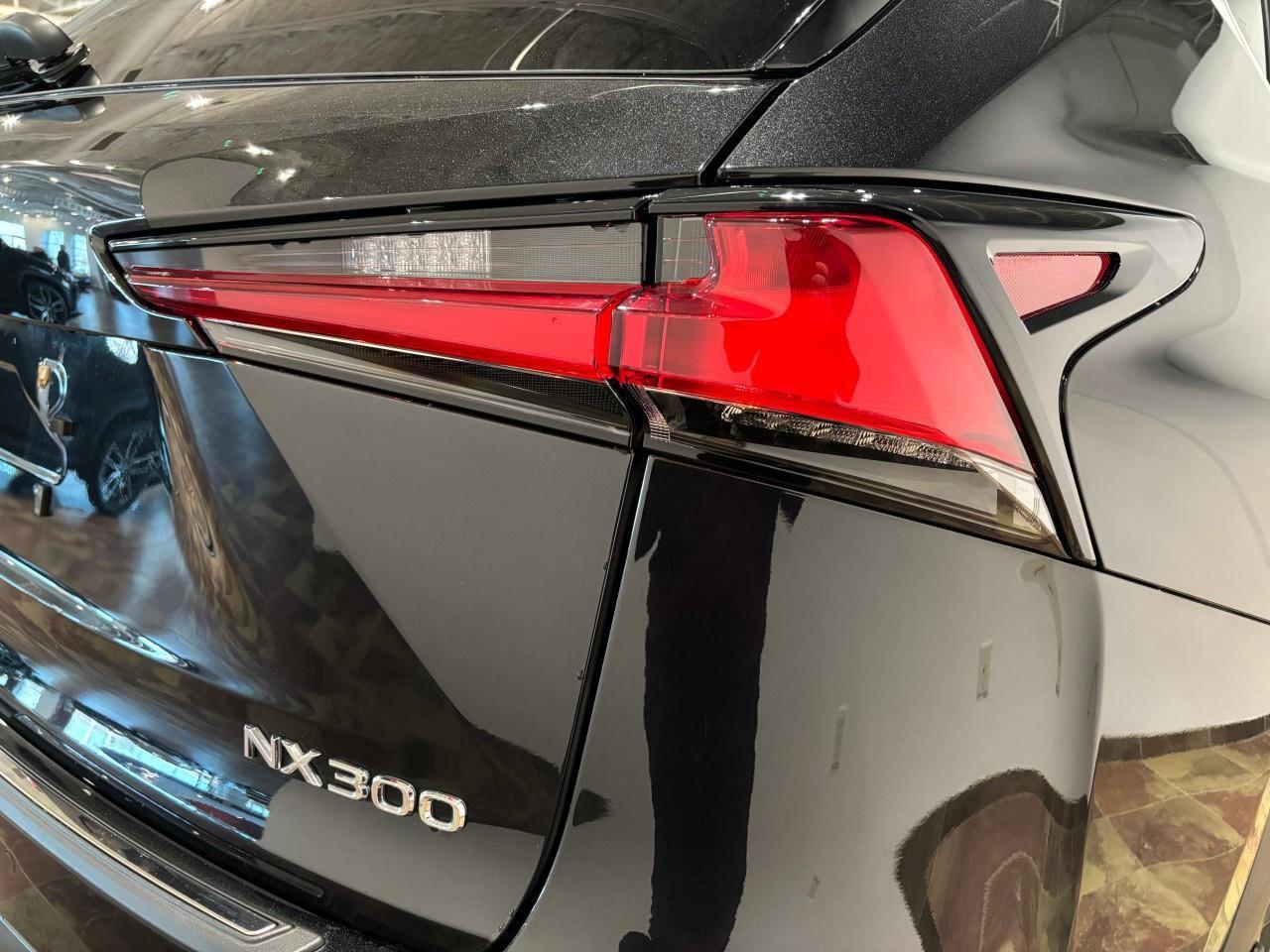 2021 Lexus NX 300  Photo