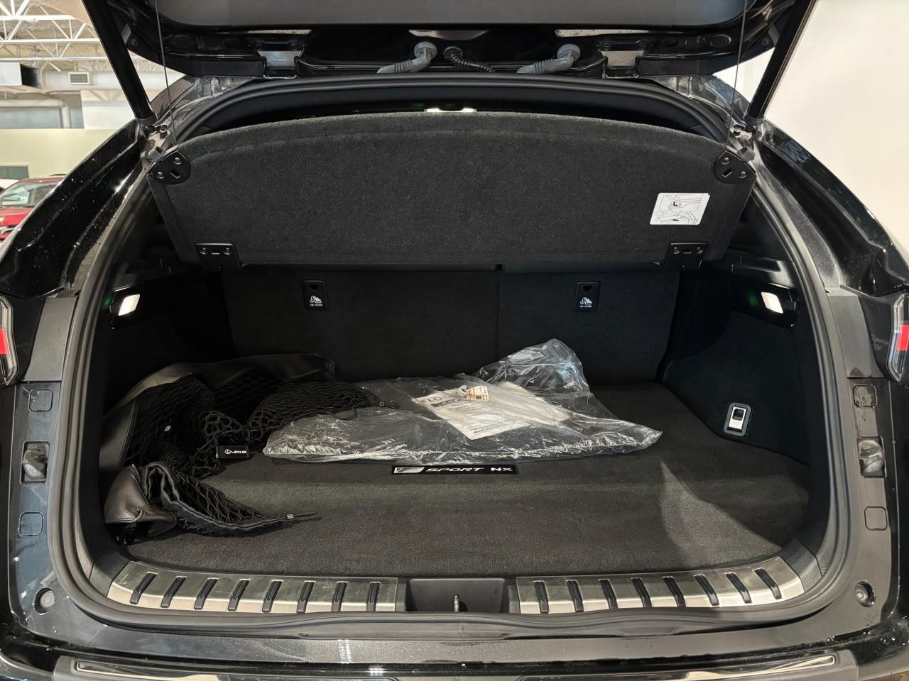 2021 Lexus NX 300  Photo