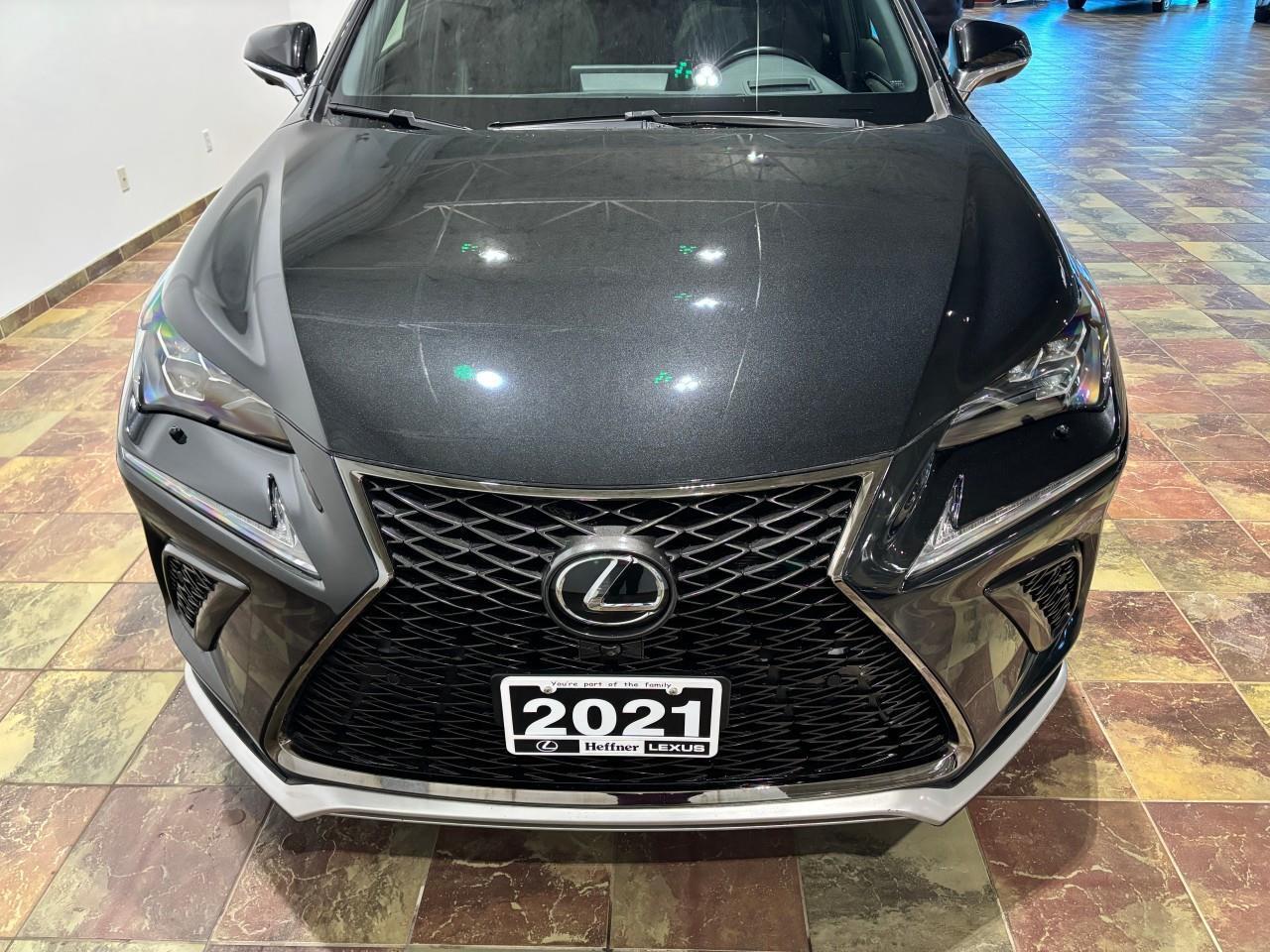 2021 Lexus NX 300  Photo