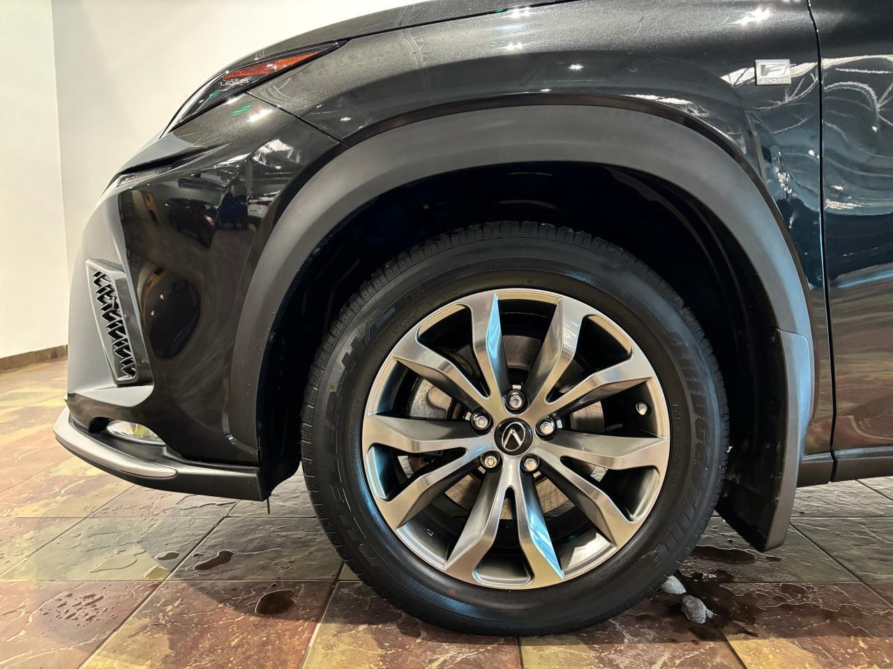 2021 Lexus NX 300  Photo