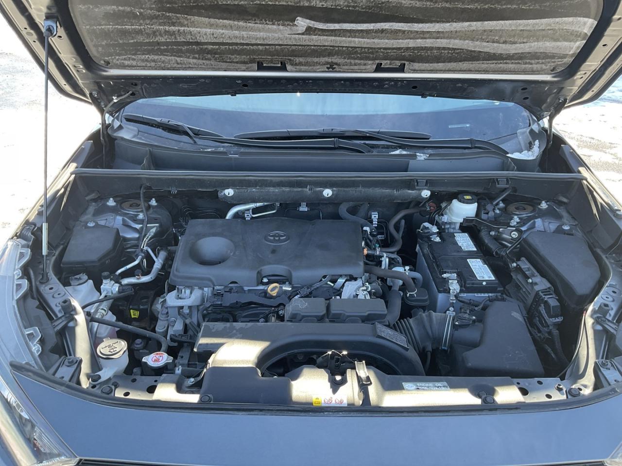 2021 Toyota RAV4 LE AWD - BACK-UP CAM! BSM! SAFETY SENSE! Photo