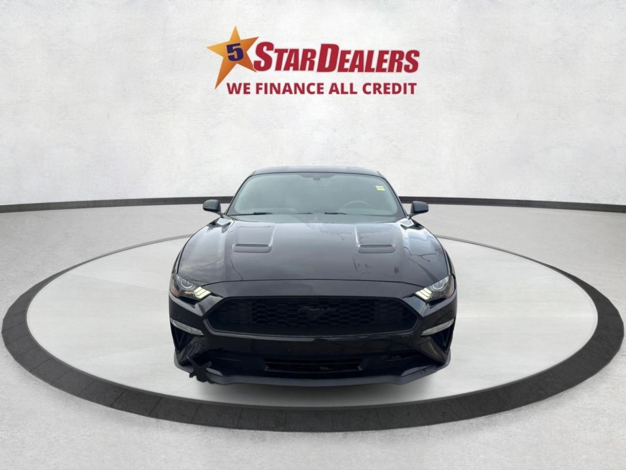 2019 Ford Mustang REAR CAM GT SPOILER CLEAN WE FINANCE ALL CREDIT! Photo