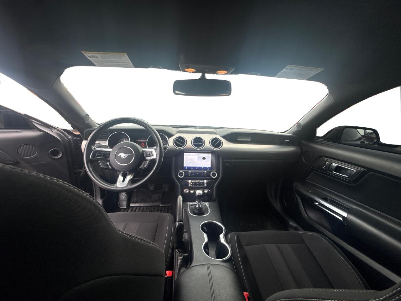 2019 Ford Mustang REAR CAM GT SPOILER CLEAN WE FINANCE ALL CREDIT! Photo