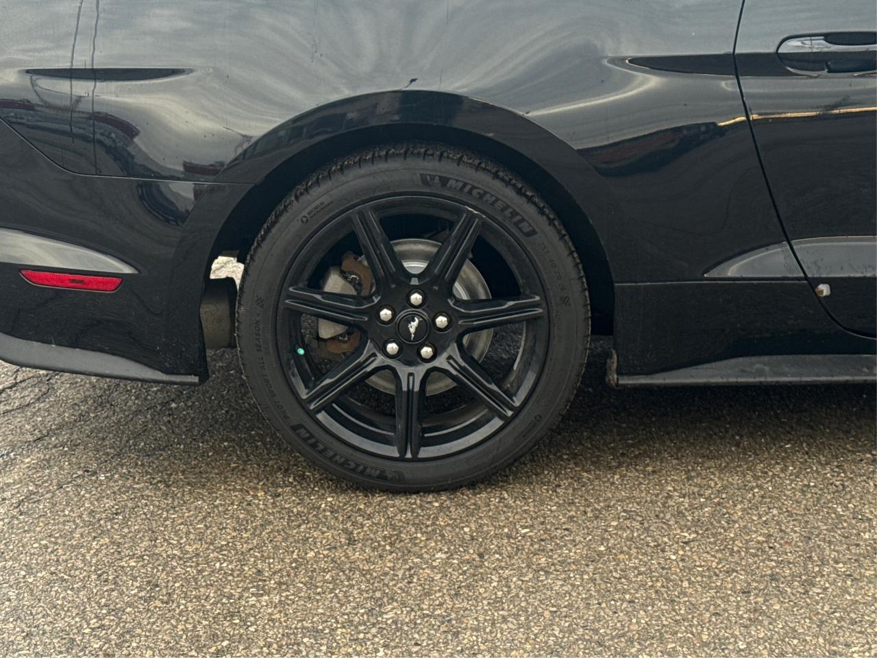 2019 Ford Mustang REAR CAM GT SPOILER CLEAN WE FINANCE ALL CREDIT! Photo