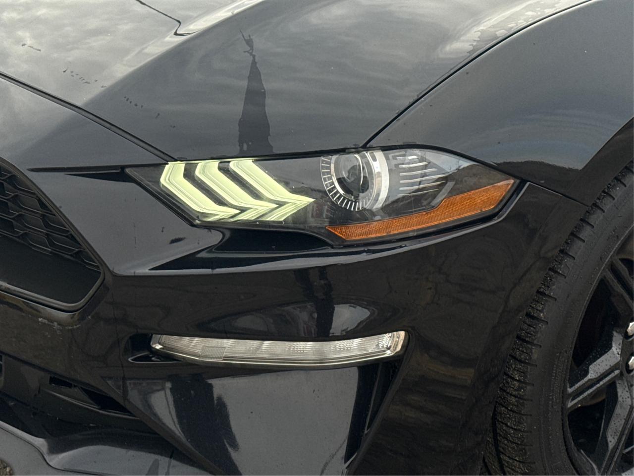 2019 Ford Mustang REAR CAM GT SPOILER CLEAN WE FINANCE ALL CREDIT! Photo