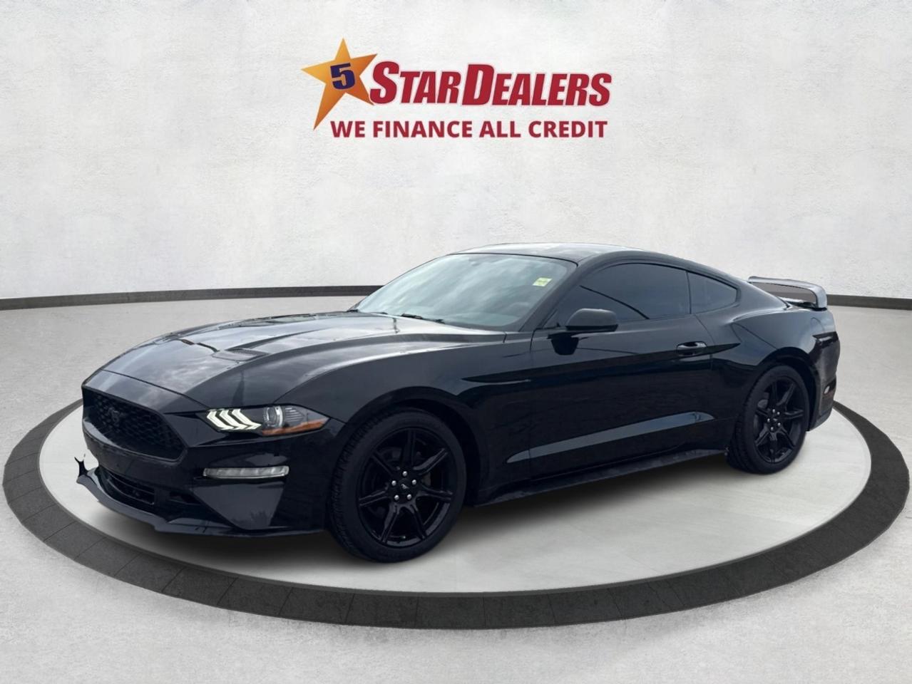 2019 Ford Mustang REAR CAM GT SPOILER CLEAN WE FINANCE ALL CREDIT! Photo2
