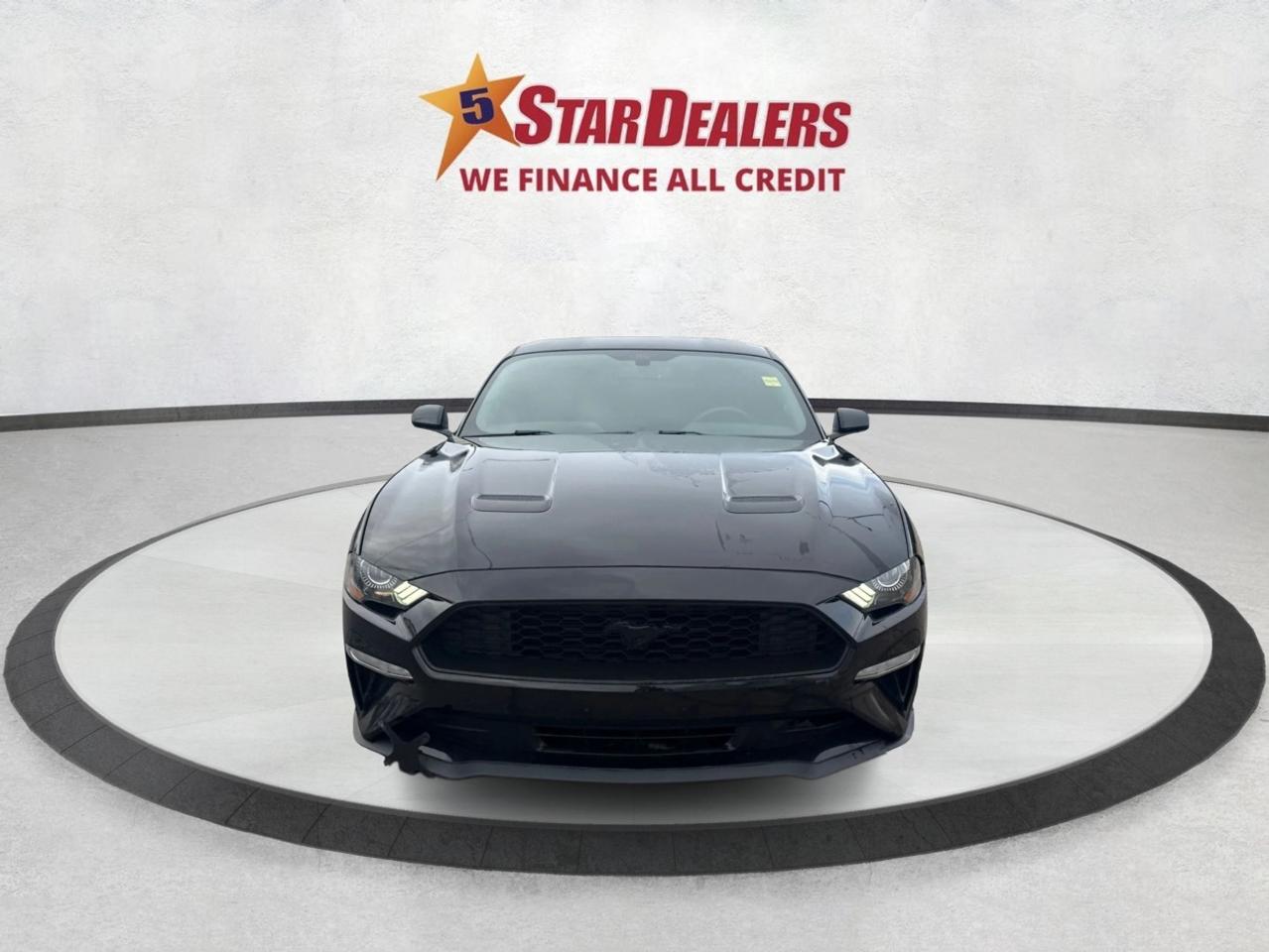 2019 Ford Mustang REAR CAM GT SPOILER CLEAN WE FINANCE ALL CREDIT! Photo