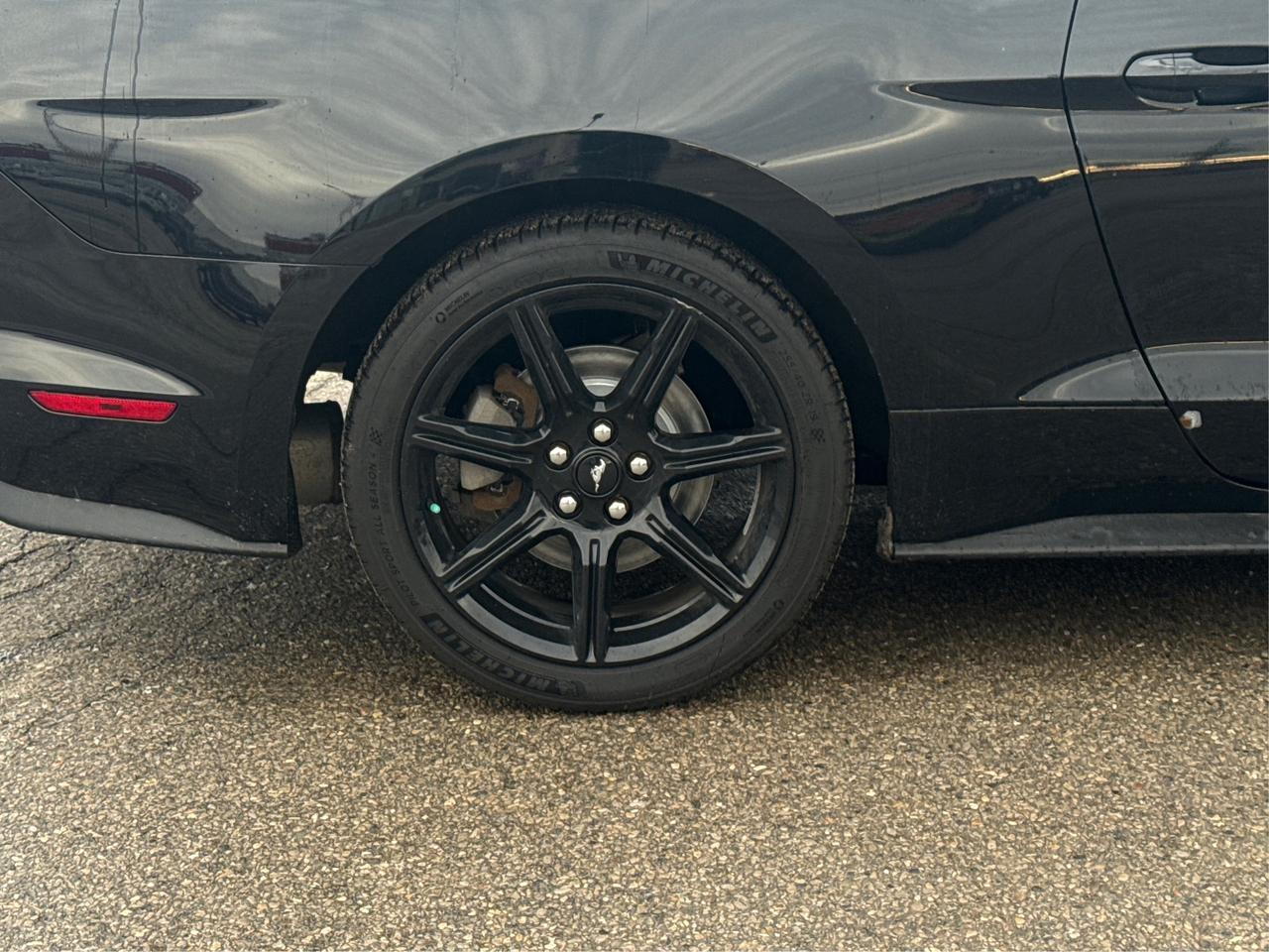 2019 Ford Mustang REAR CAM GT SPOILER CLEAN WE FINANCE ALL CREDIT! Photo