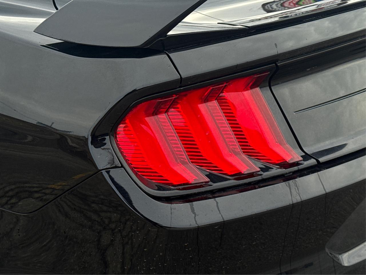2019 Ford Mustang REAR CAM GT SPOILER CLEAN WE FINANCE ALL CREDIT! Photo
