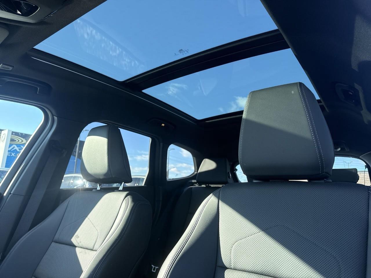 2025 BMW X1 xDrive28i Photo