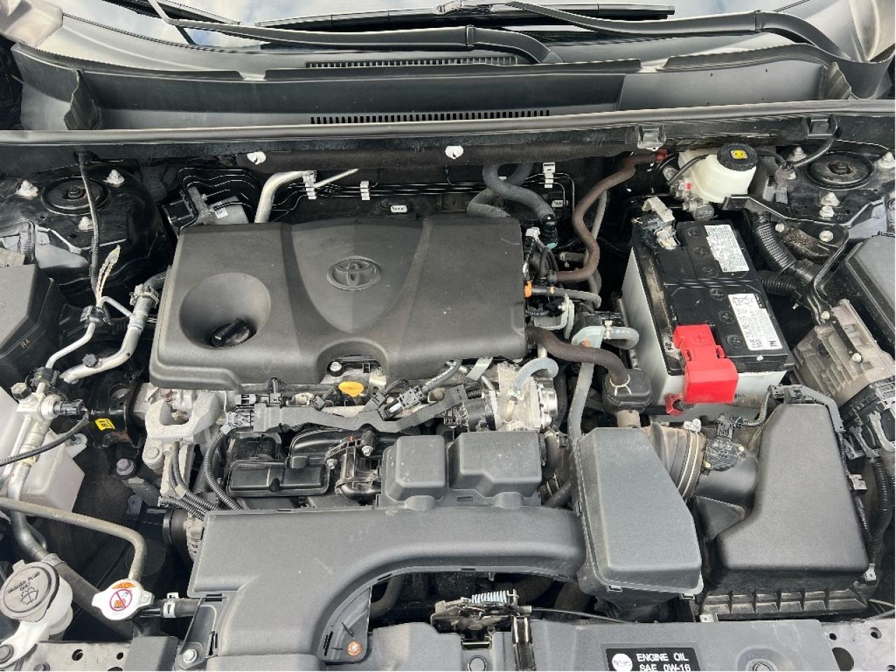 2022 Toyota RAV4 LE AWD *CLEAN CARFAX *HEATED SEATS *SAFETY SENSE Photo