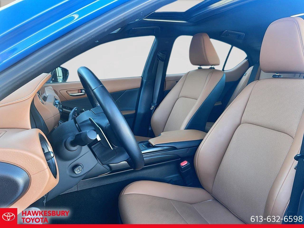 2023 Lexus IS IS 300 2023 Lexus IS 300 TI / Lexus IS 300 TI 2023 Photo