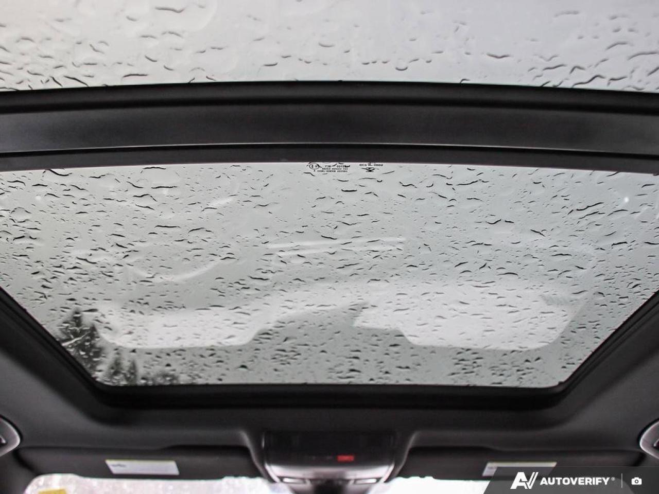 2022 Volkswagen Tiguan Highline R-LineAWD, SUNROOF, HTD SEATS, POWER TAIL Photo