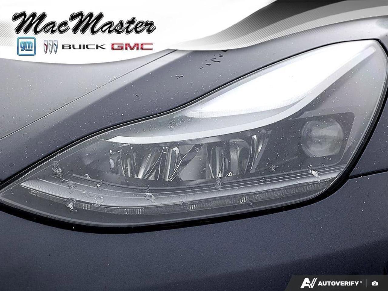 2022 Tesla Model 3 PerformanceMODEL 3, PERFORMANCE, DUAL-MOTOR, ALLOY Photo