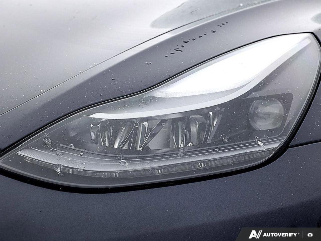 2022 Tesla Model 3 PerformanceMODEL 3, PERFORMANCE, DUAL-MOTOR, ALLOY Photo