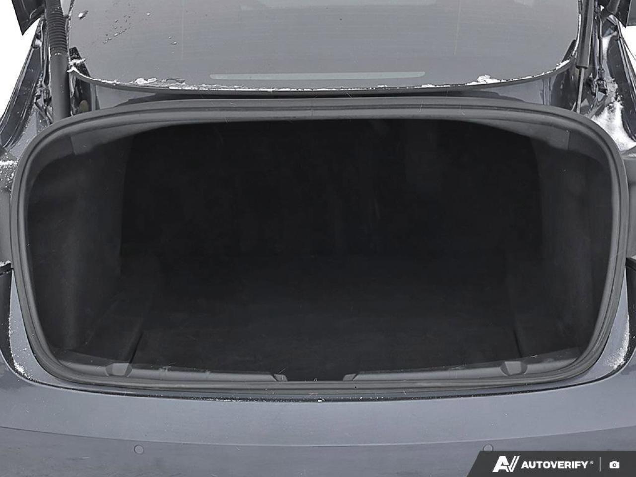 2022 Tesla Model 3 PerformanceMODEL 3, PERFORMANCE, DUAL-MOTOR, ALLOY Photo