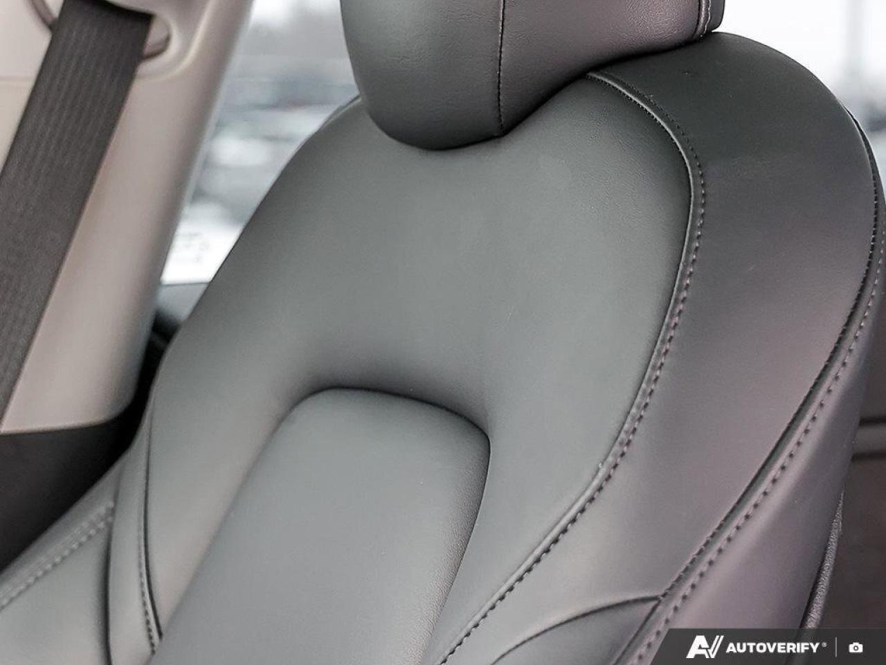 2022 Tesla Model 3 PerformanceMODEL 3, PERFORMANCE, DUAL-MOTOR, ALLOY Photo