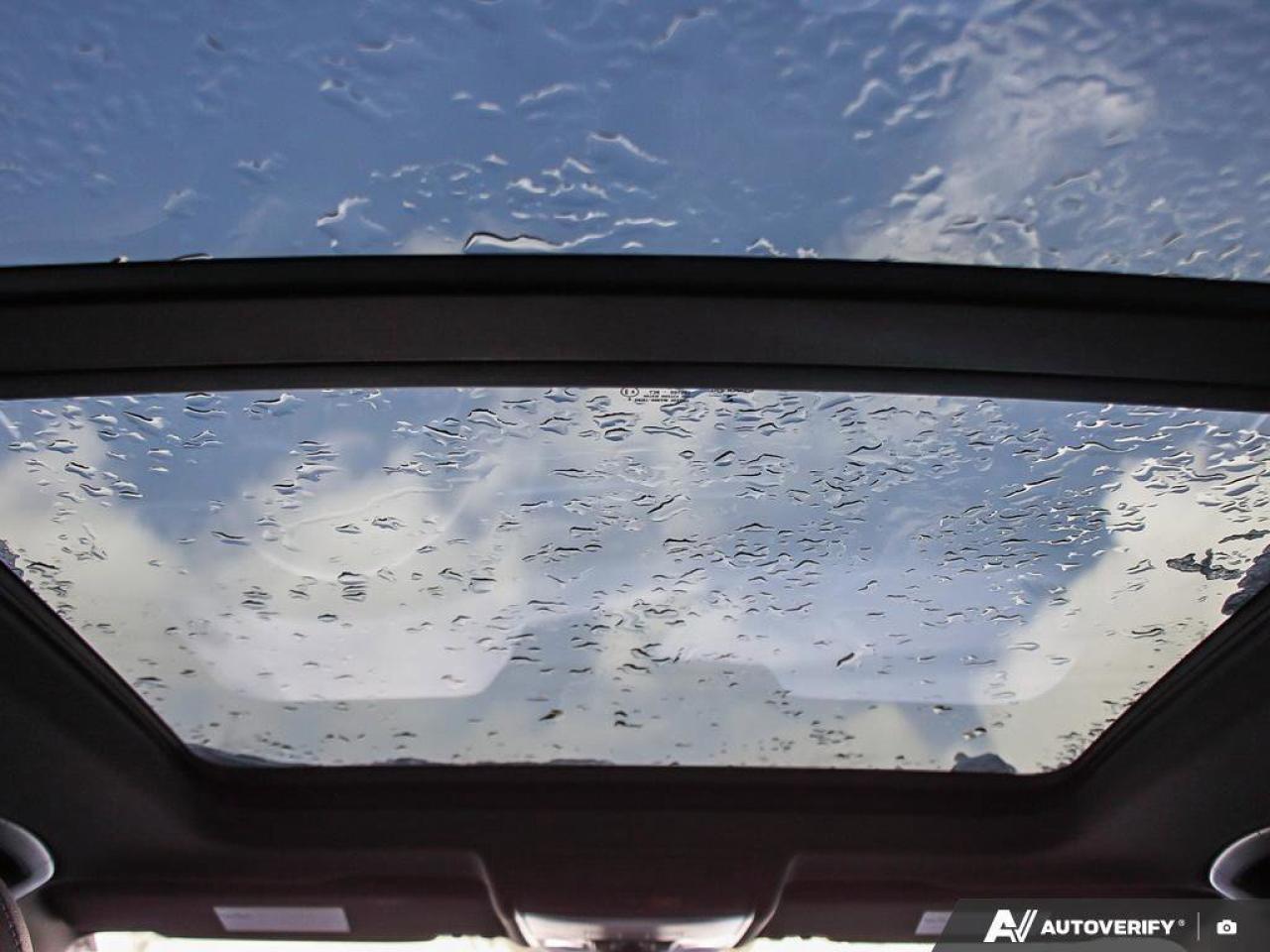 2022 Volkswagen Tiguan Comfortline R-Line Black EditionONE-OWNER, ACCIDEN Photo