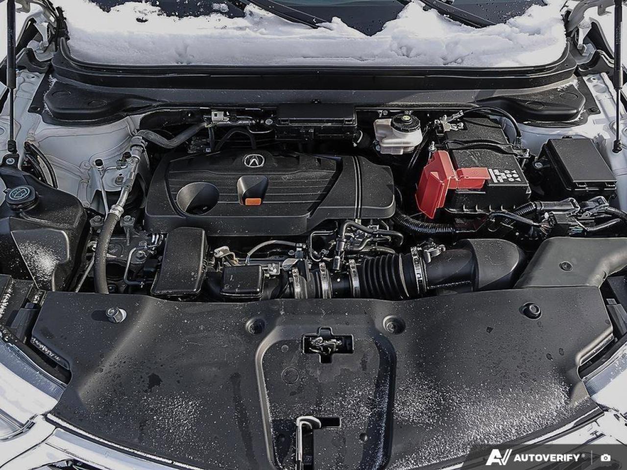 2020 Acura RDX EliteACCIDENT-FREE, SUNROOF, ADAPTIVE CRUISE, NAVI Photo