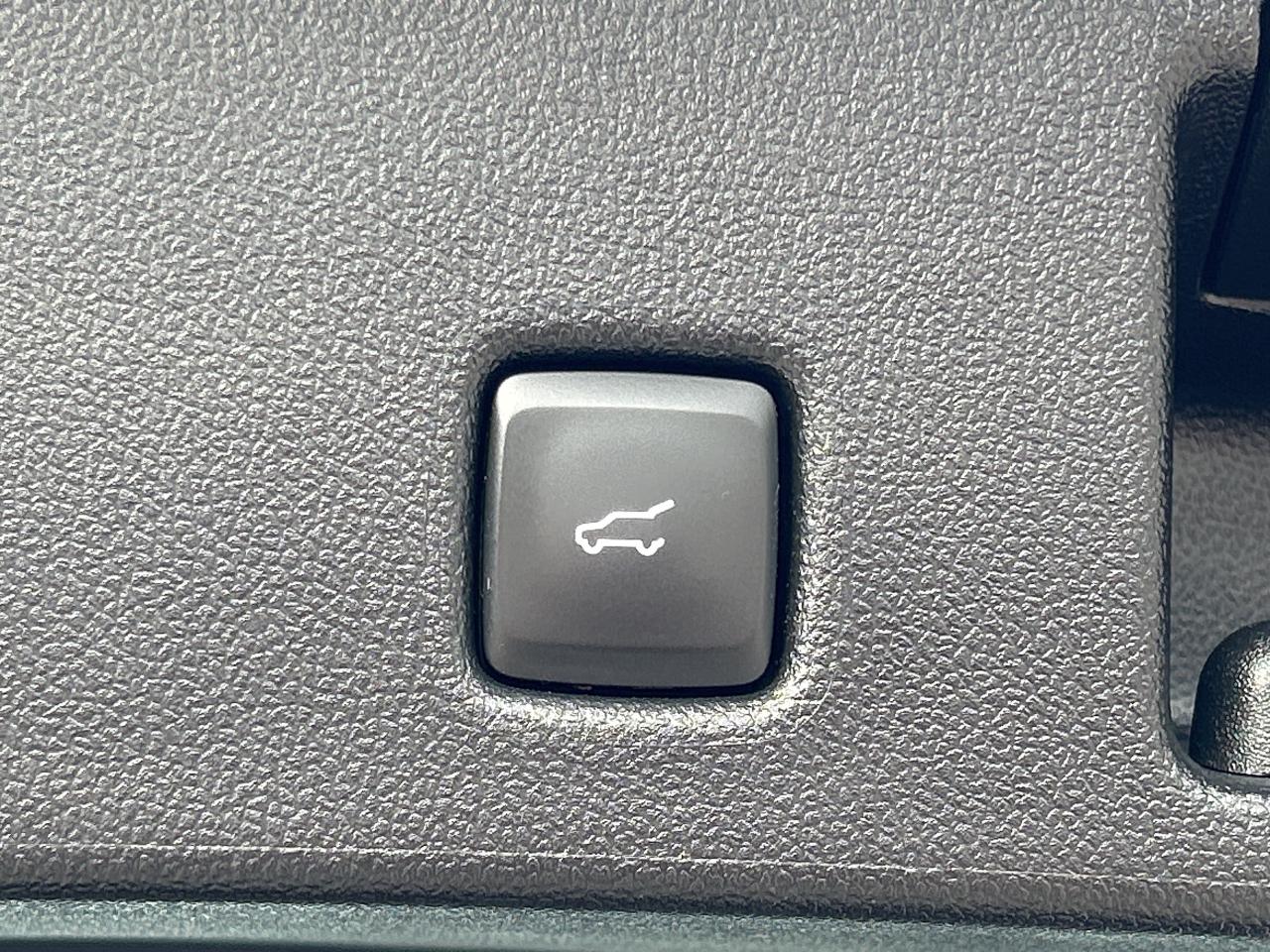 2022 Ford Escape SEL Hybrid AWD Photo