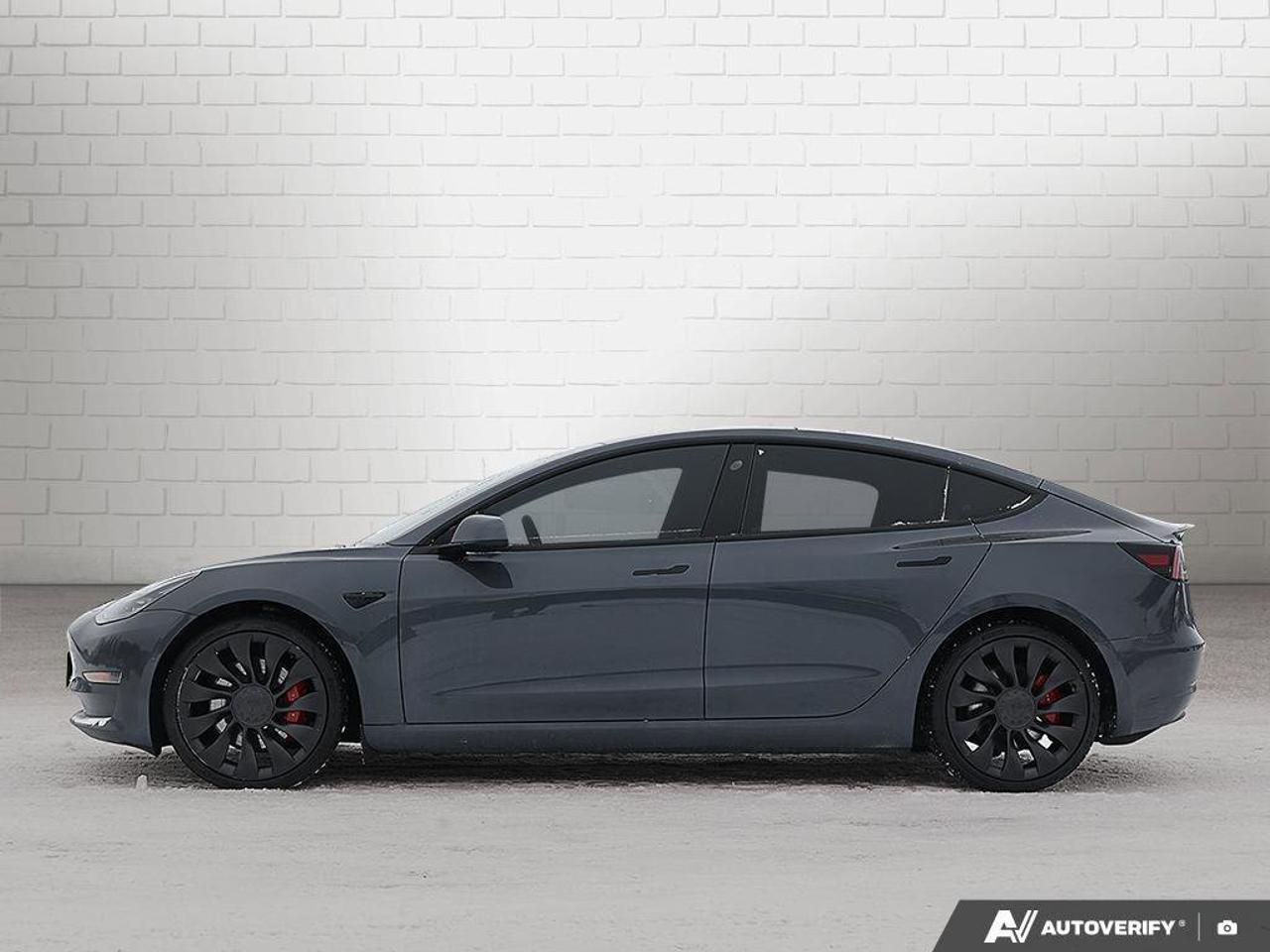 2022 Tesla Model 3 PerformanceMODEL 3, PERFORMANCE, DUAL-MOTOR, ALLOY Photo