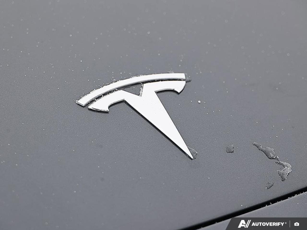 2022 Tesla Model 3 PerformanceMODEL 3, PERFORMANCE, DUAL-MOTOR, ALLOY Photo
