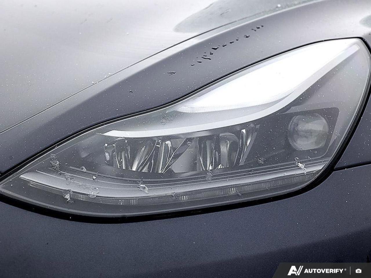 2022 Tesla Model 3 PerformanceMODEL 3, PERFORMANCE, DUAL-MOTOR, ALLOY Photo