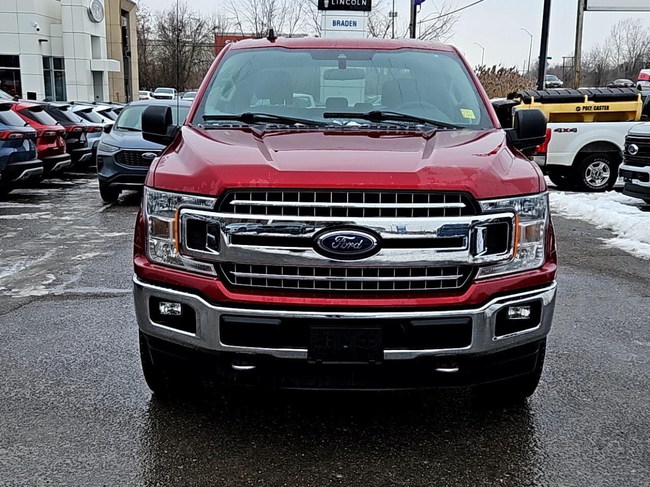 2019 Ford F-150 XTR   5 LITRE V8   TOW PKG   4X4 Photo